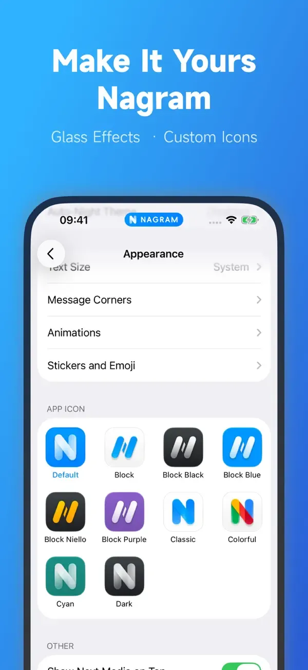 Nagram iOS: 外观与应用图标
